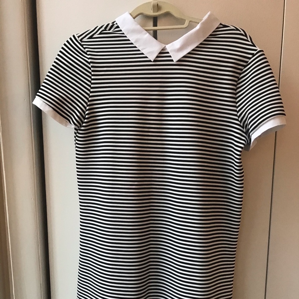 Striped Zara T-shirt Dress with Collar